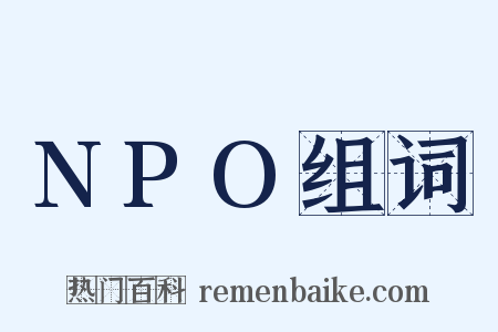 NPO组词是什么意思的图片